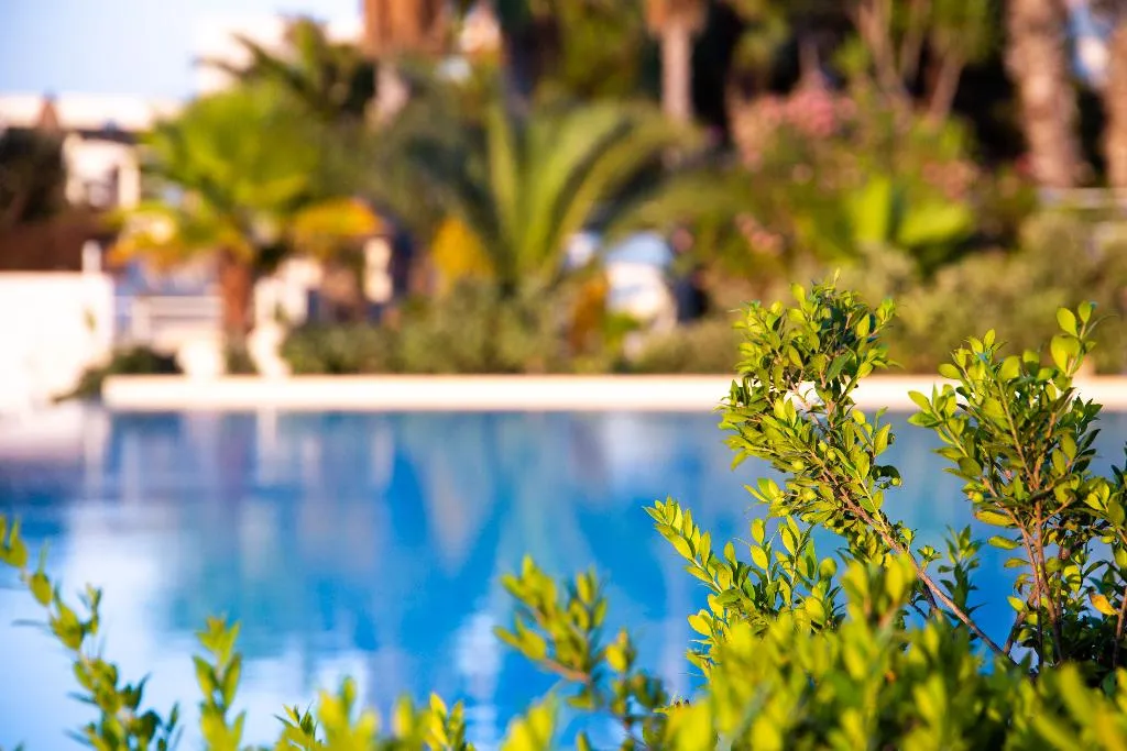 Pool, Salini Resort, Malta