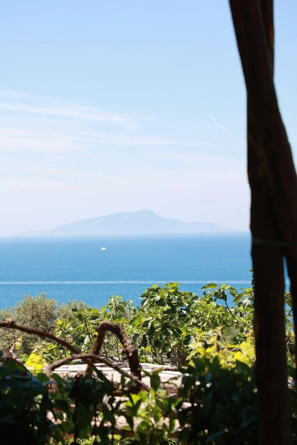 General view, Villa Puolo - With Private Sea Access, Naples