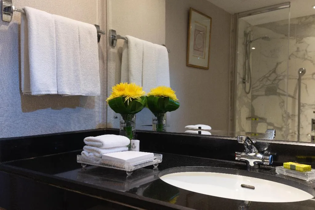 DOUBLE DELUXE CITY VIEW Room, Semiramis InterContinental Cairo, Cairo