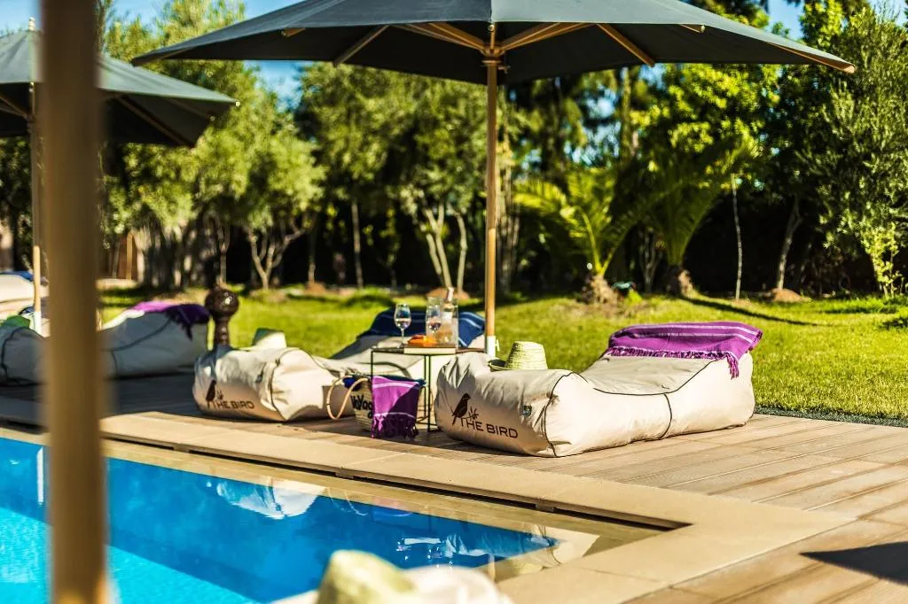 Sports and Entertainment, The Bird Exclusive Guest House & Spa, Marrakech