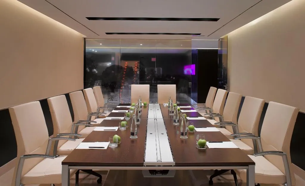 Conferences, Melia Madrid Princesa, Madrid