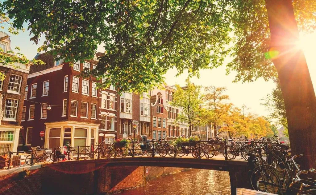 Room, art'otel amsterdam, Powered by Radisson Hotels, Amsterdam