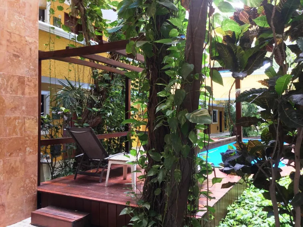 Pool, Las Golondrinas, Playa Del Carmen