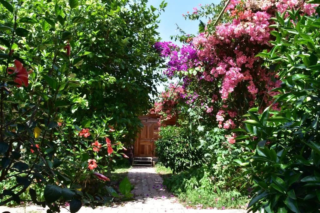 General view, Lemon Garden Lodge, Antalya