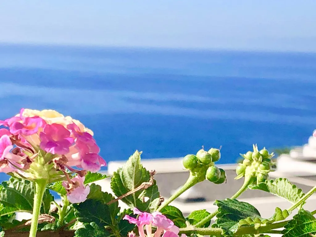 Terrace, Ona Bahia Blanca, Gran Canaria