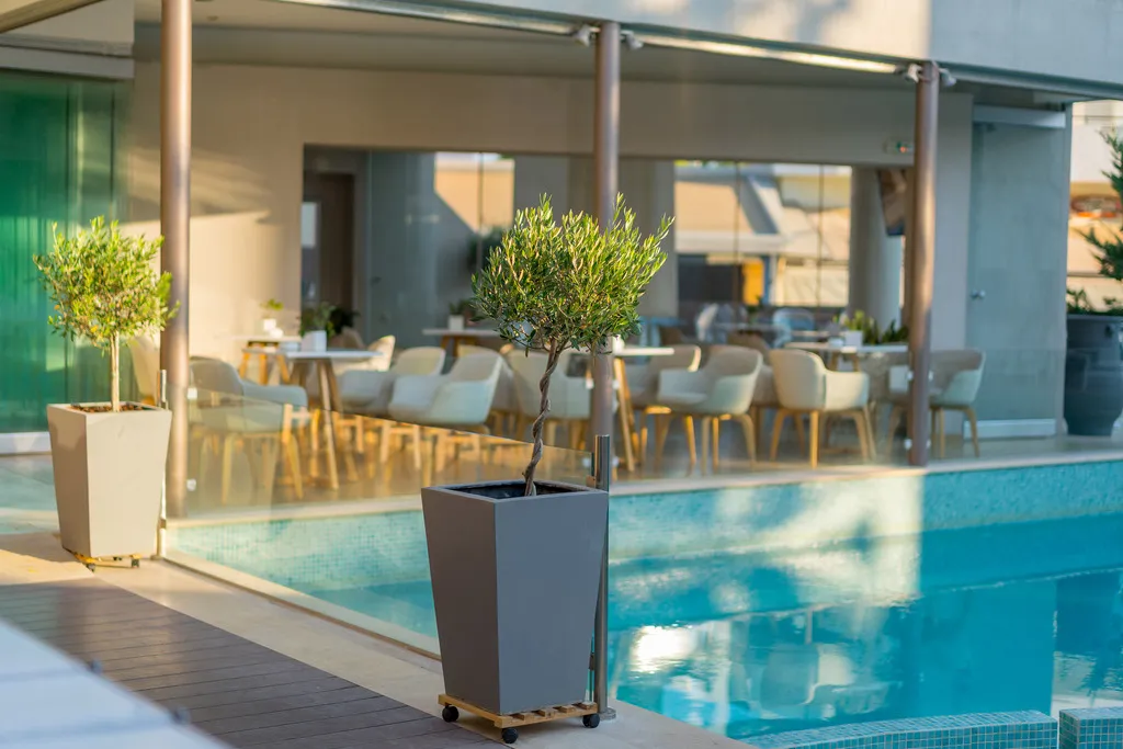 Pool, Nefeli, Corfu