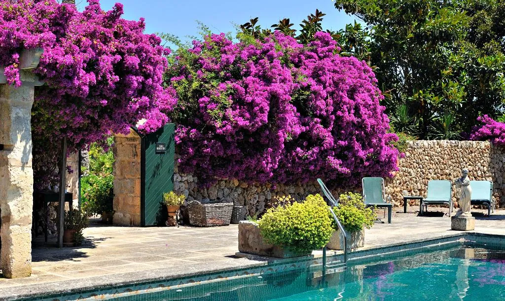 Pool, Rural Biniarroca, Menorca