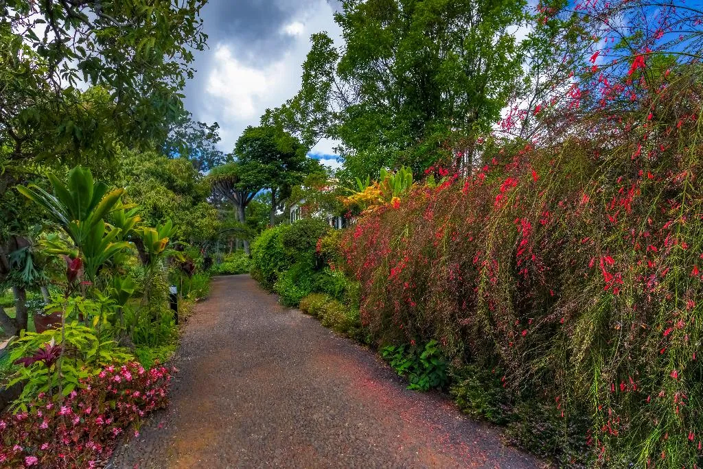 General view, Quinta Jardins do Lago, Madeira