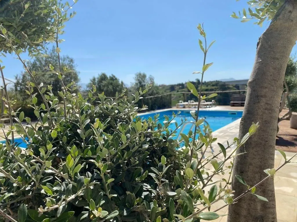 Sports and Entertainment, B&B Pelagos, Palermo