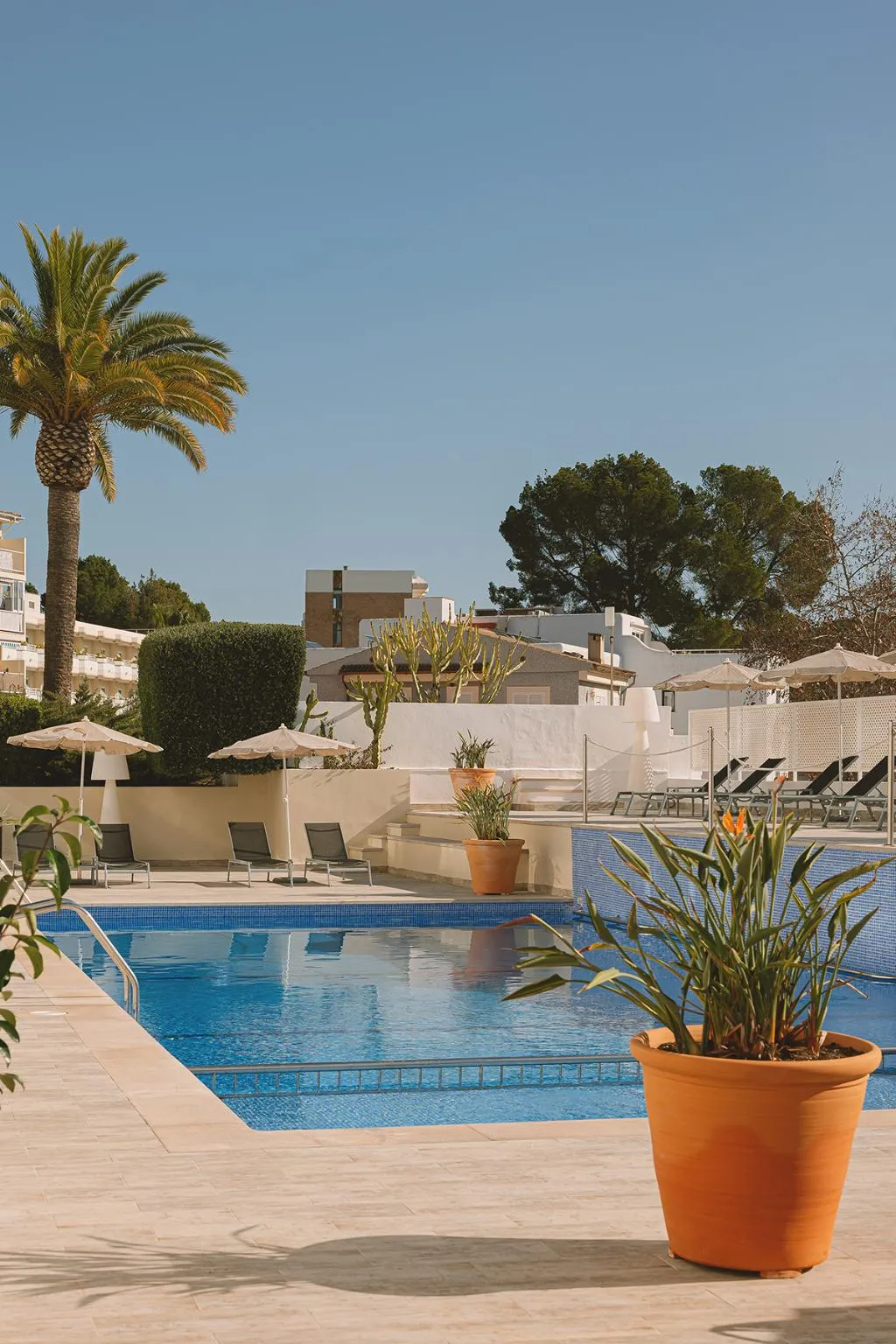Pool, Aparthotel Novo Mar, Majorca
