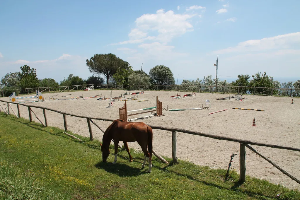 Sports and Entertainment, Agriturismo Piccolo Paradiso, Naples