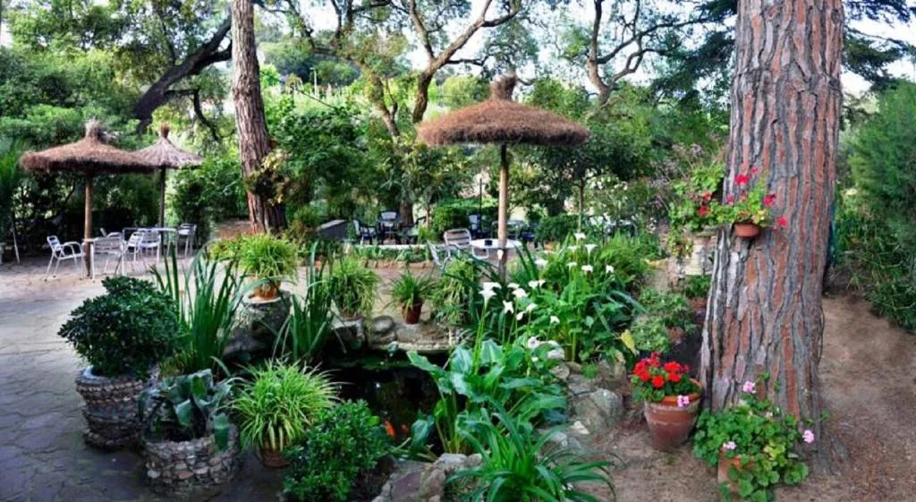 Terrace, Magnolia, Costa Brava