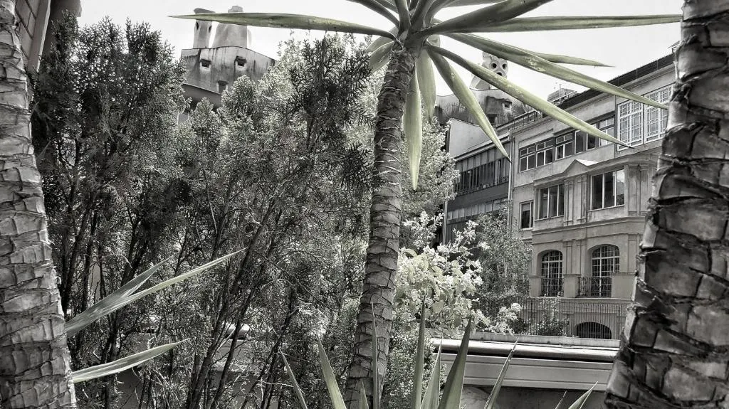Terrace, Hotel Limonaia, Barcelona