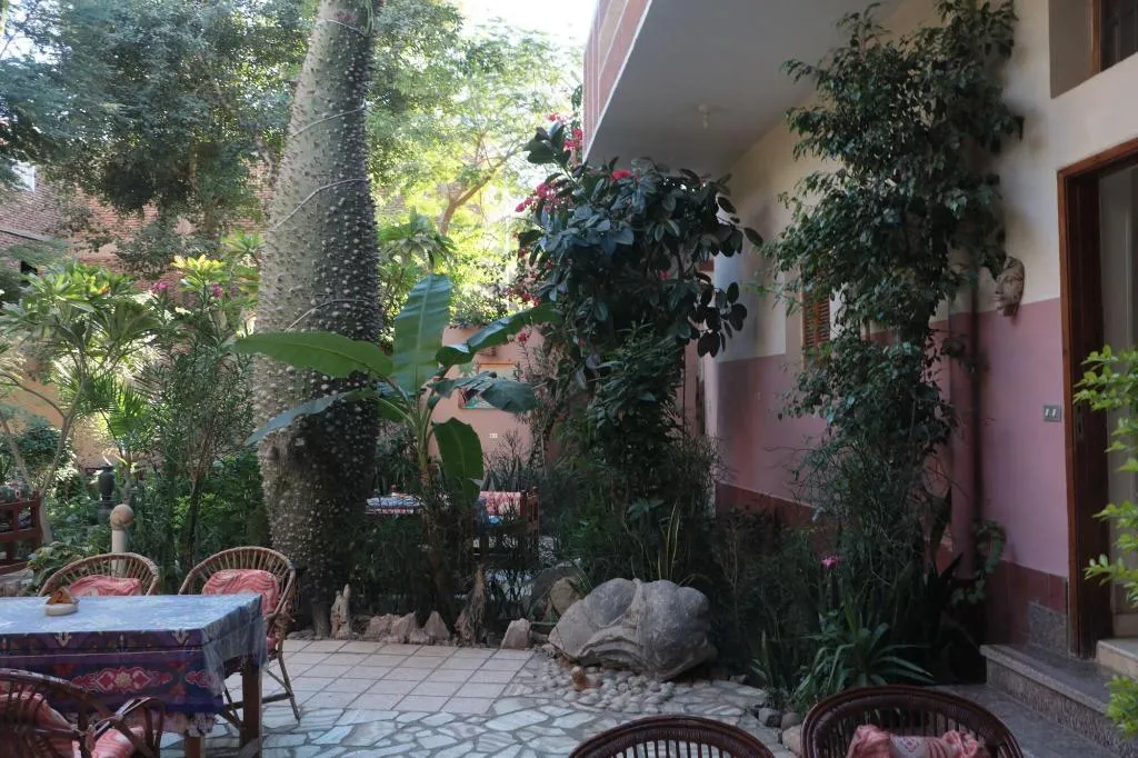 Restaurant, Amon Hotel, Luxor