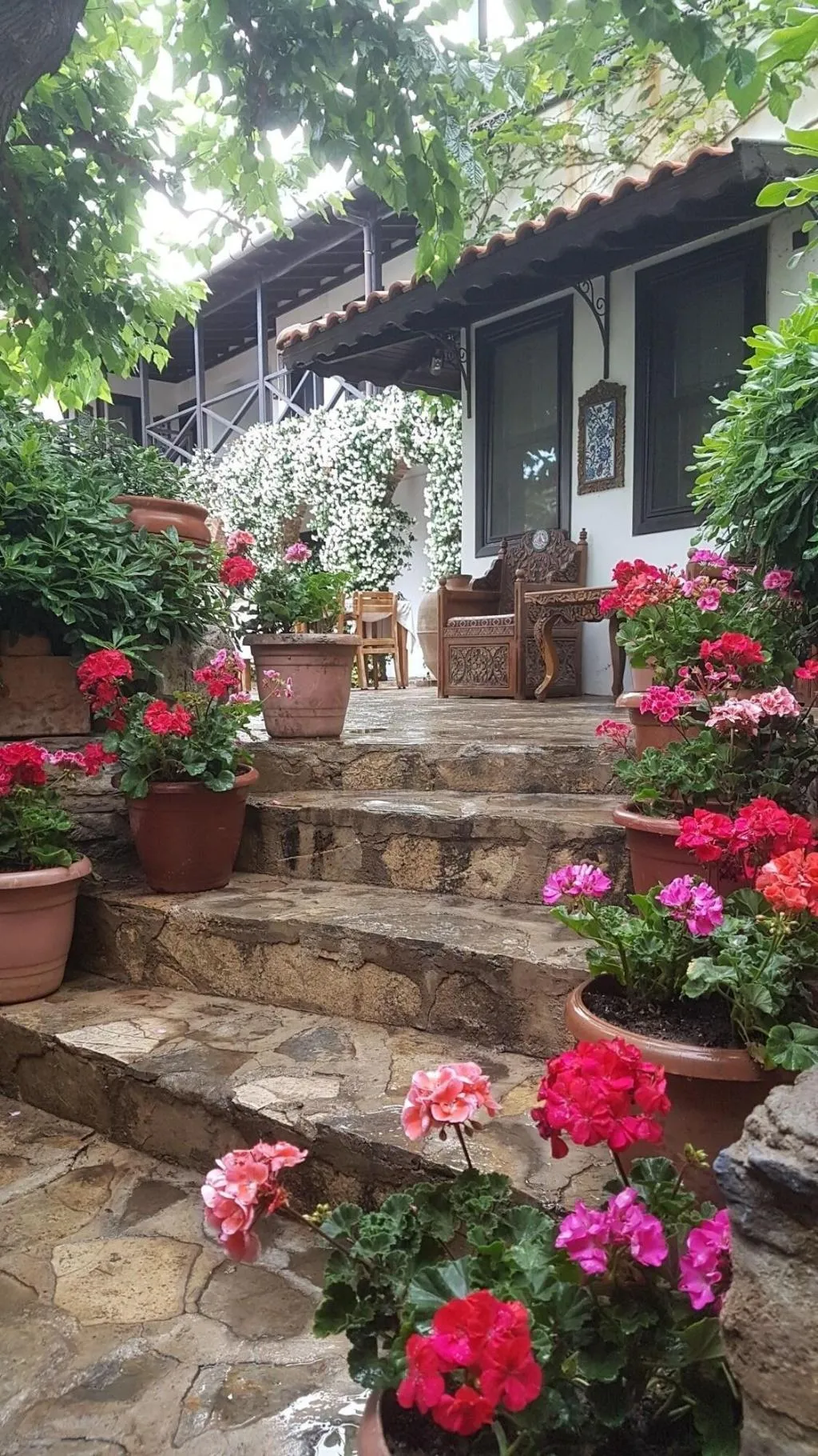 Terrace, Nilya, Izmir