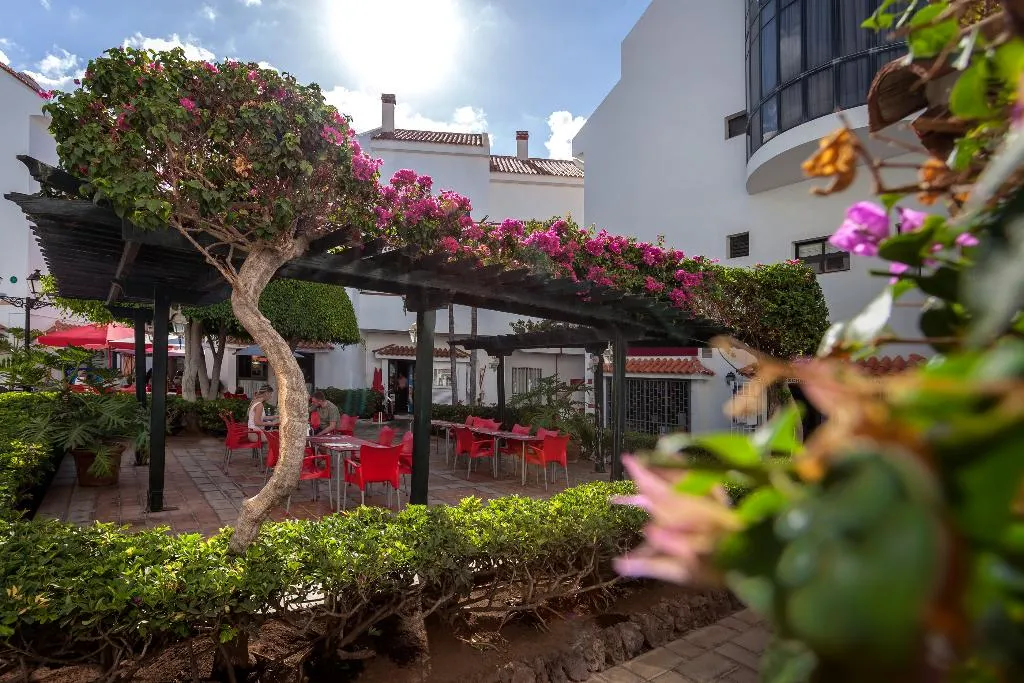 General view, HG Cristian Sur, Tenerife