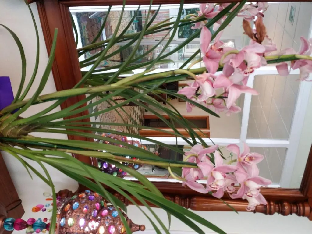 Lobby, Fonda Maria, Costa Blanca