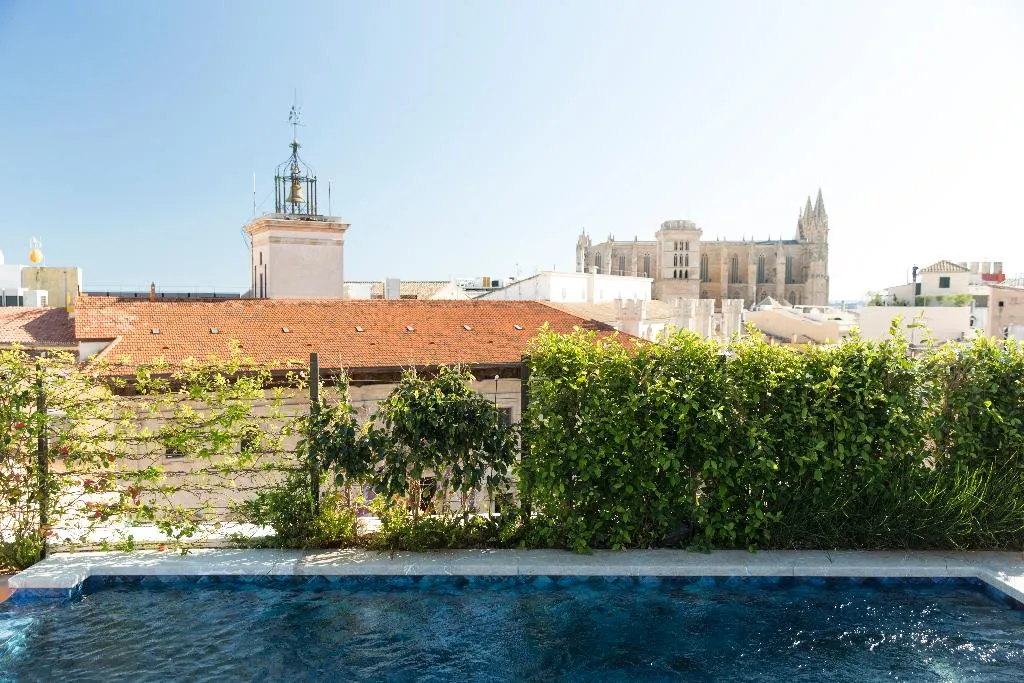 Pool, Hotel Cappuccino - Palma (formerly Hotel Mamá), Majorca