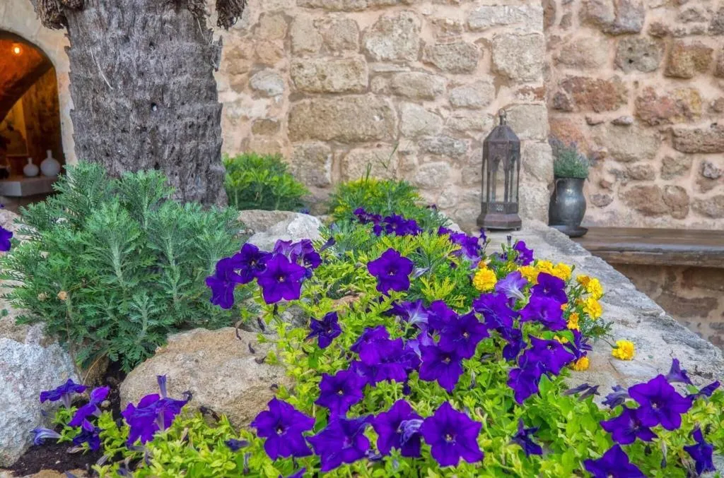 General view, Trinity Boutique Hotel, Rhodes