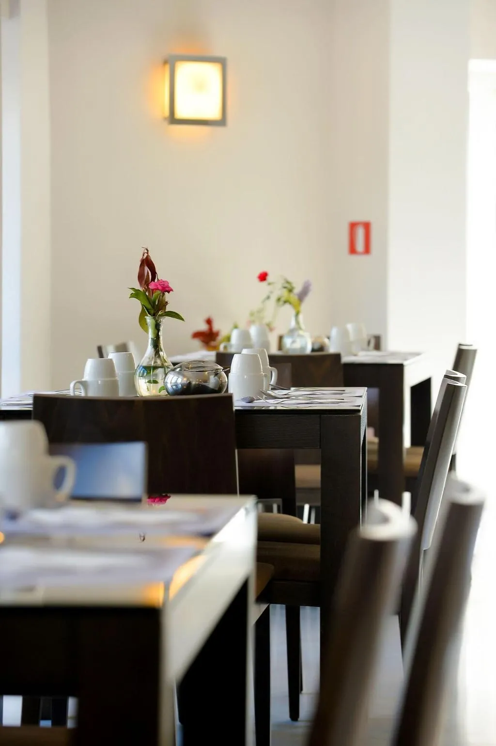 Restaurant, Astoria, Halkidiki