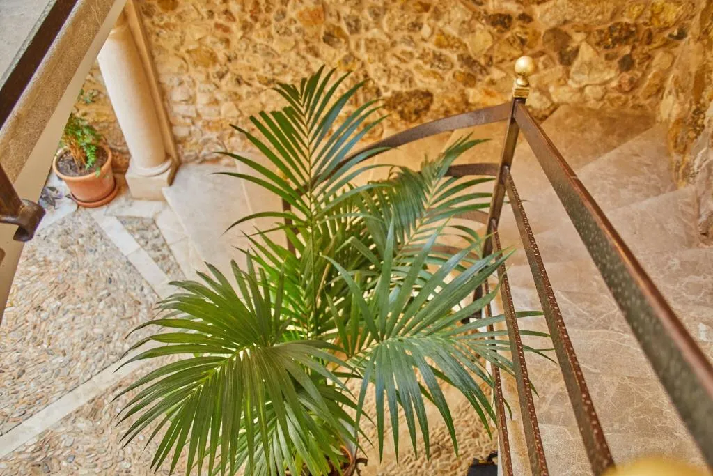 Lobby, Cas Comte Petit Hotel & Spa, Majorca