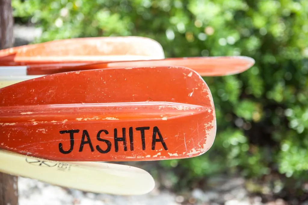 Sports and Entertainment, Jashita Hotel, Cancun Area