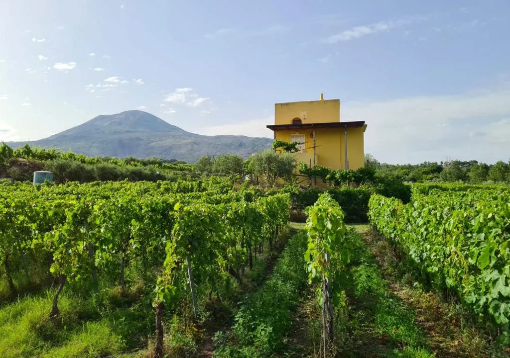 Terrace, Vesuvio Inn Bed & Wine Experience, Naples