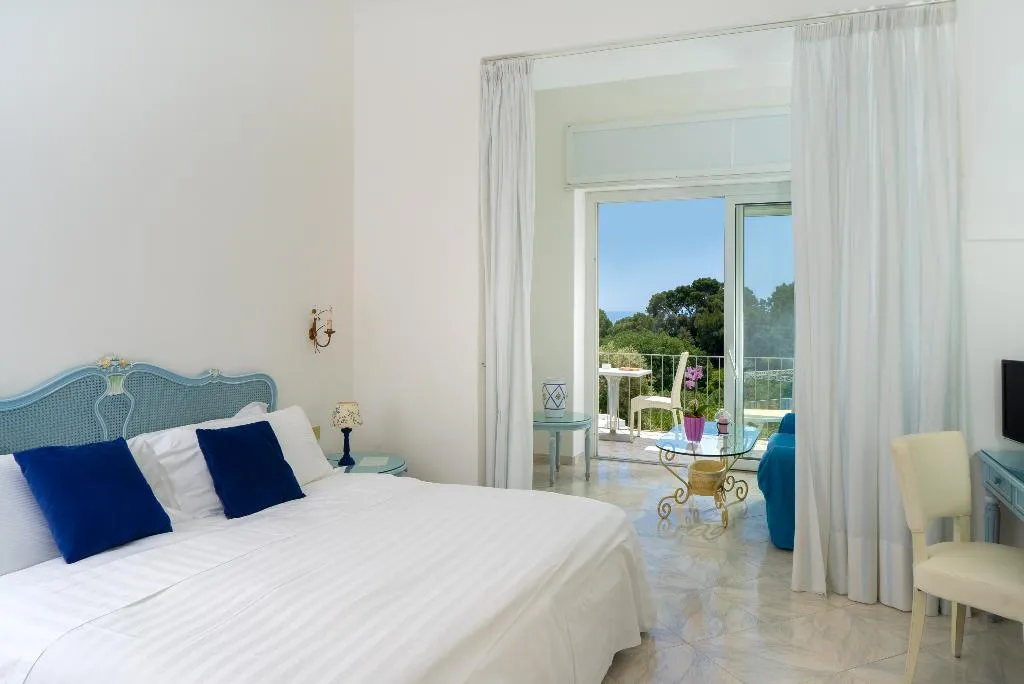 Double or Twin DELUXE SUPERIOR Room, La Floridiana, Naples