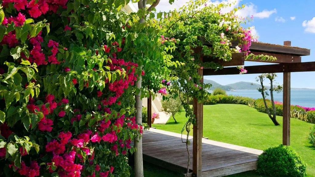 General view, Kempinski Barbaros Bay Bodrum, Bodrum