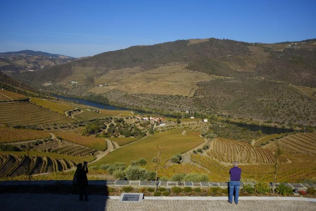 General view, Quinta Da Gricha, Porto