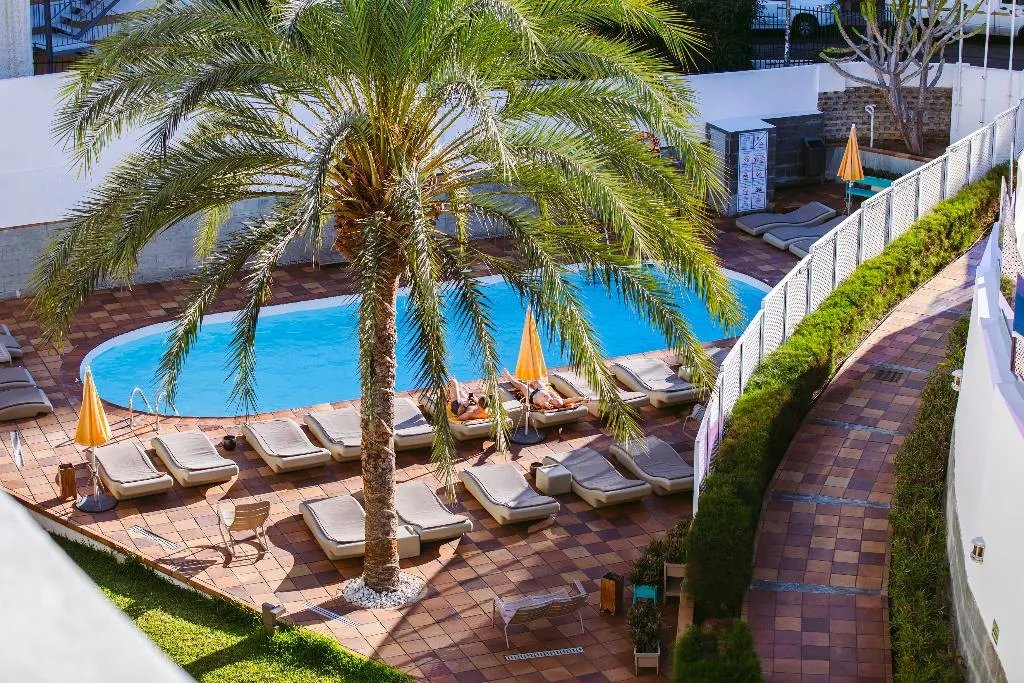 Pool, Apartamentos Jacarandas, Gran Canaria