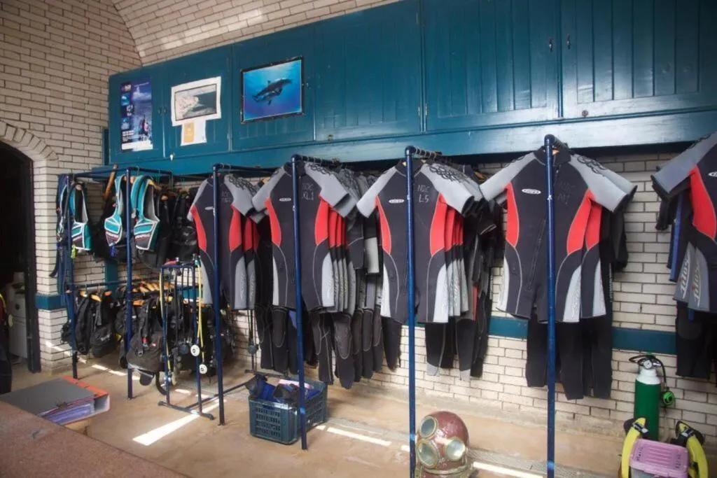 Sports and Entertainment, Nesima Resort, Red Sea Riviera
