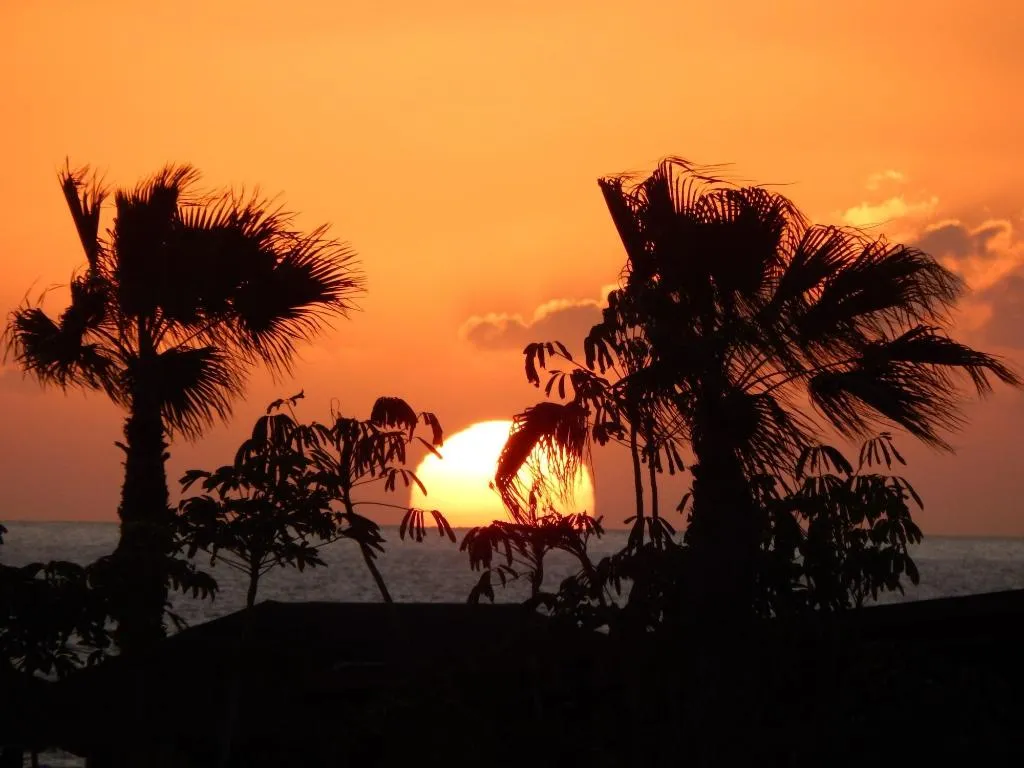 General view, Twenty-Seven Degrees, Gran Canaria
