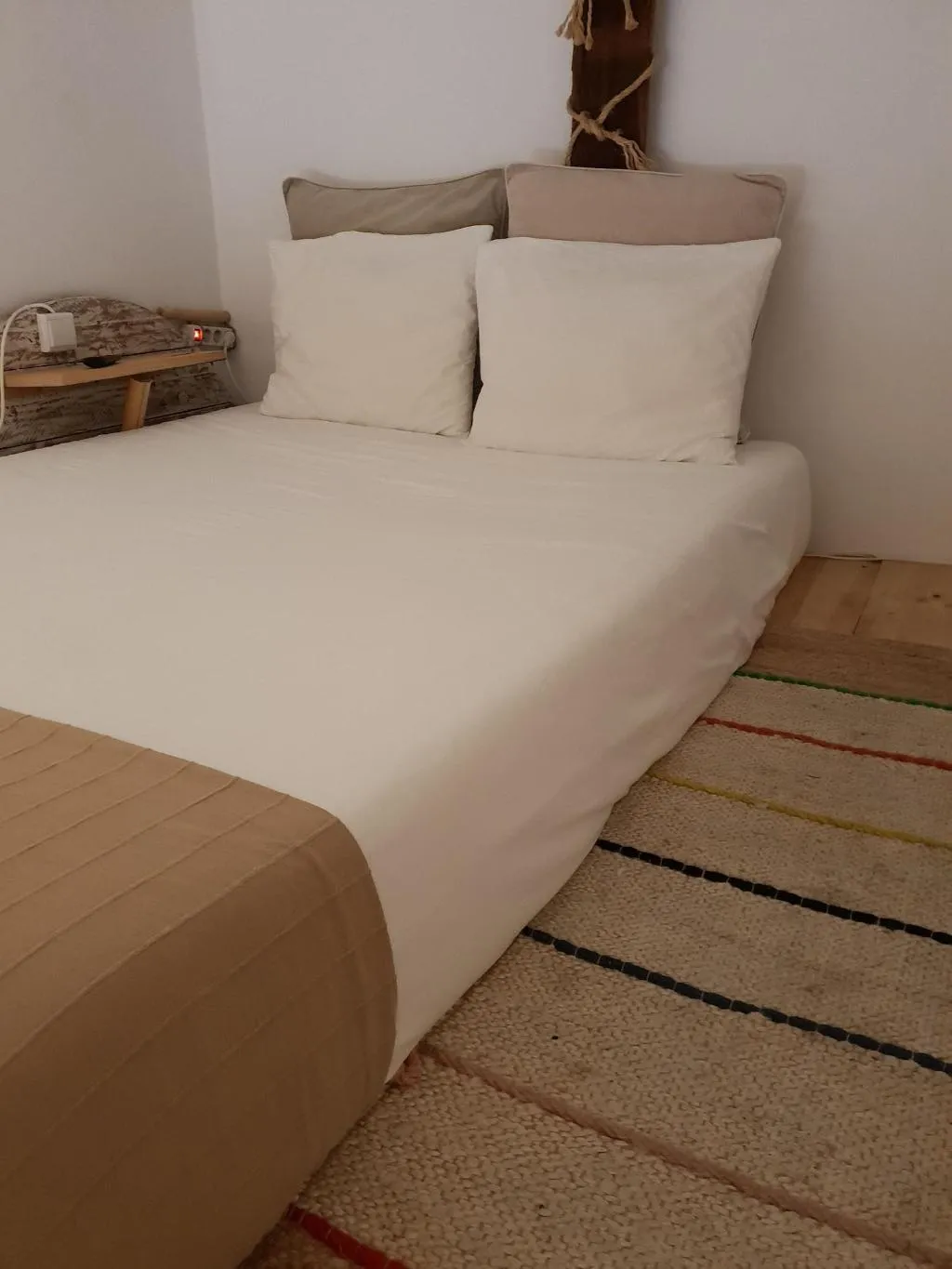 Room, Cactus Host, Gran Canaria