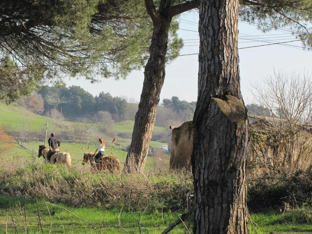 Sports and Entertainment, Parco Delle Nazioni, Rome