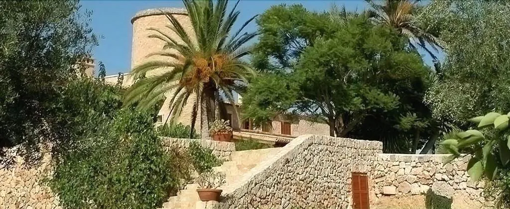 General view, Son Mas, Majorca