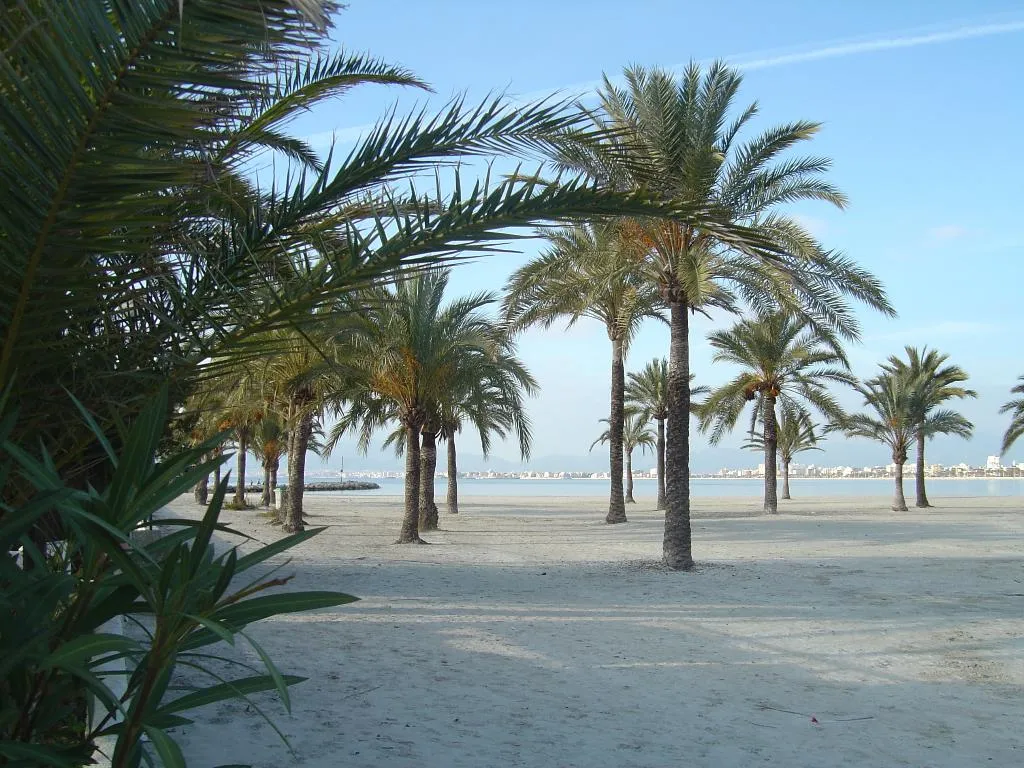Beach, Hispania, Majorca