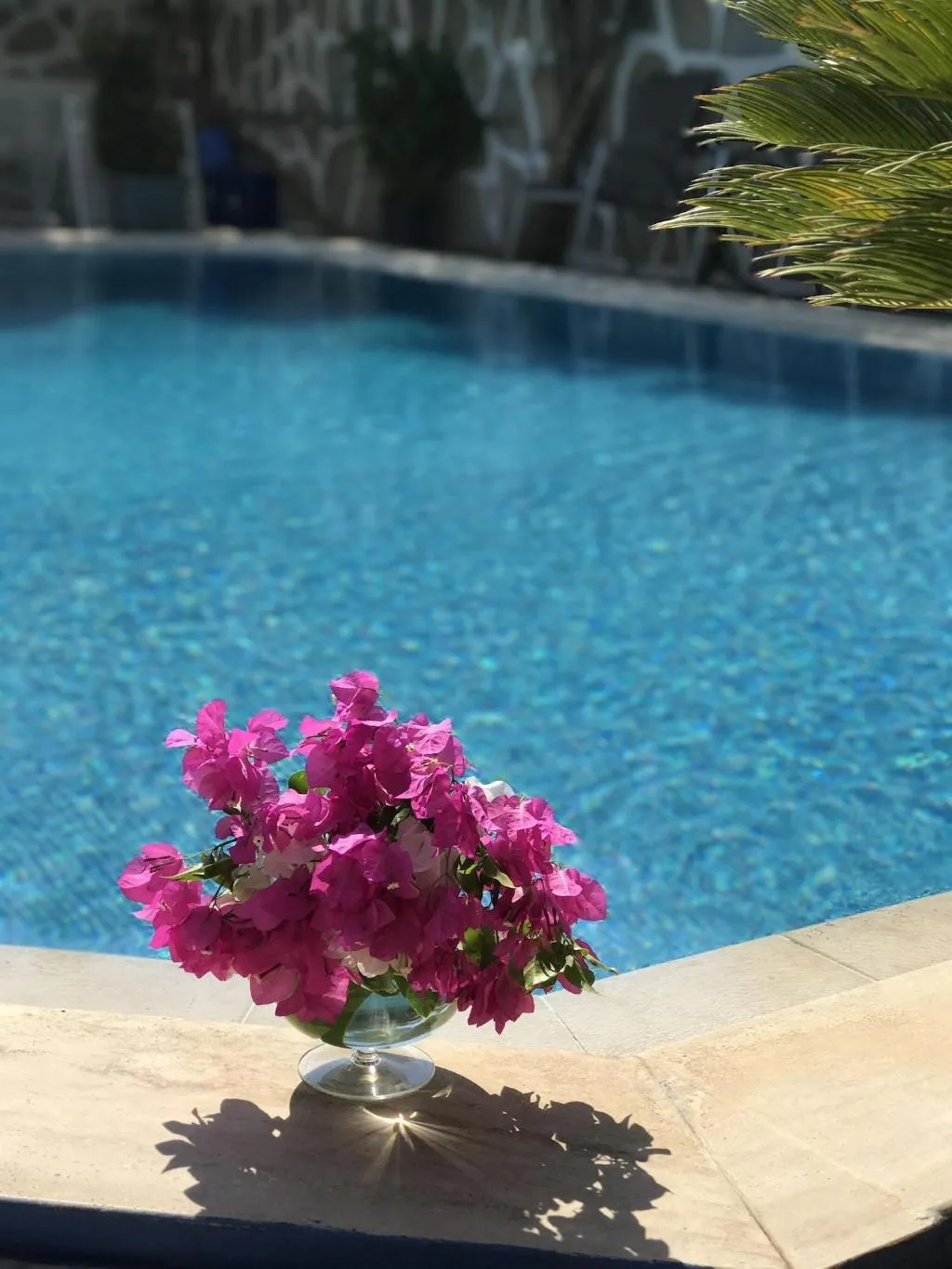Sports and Entertainment, Artunc Hotel Bodrum, Bodrum