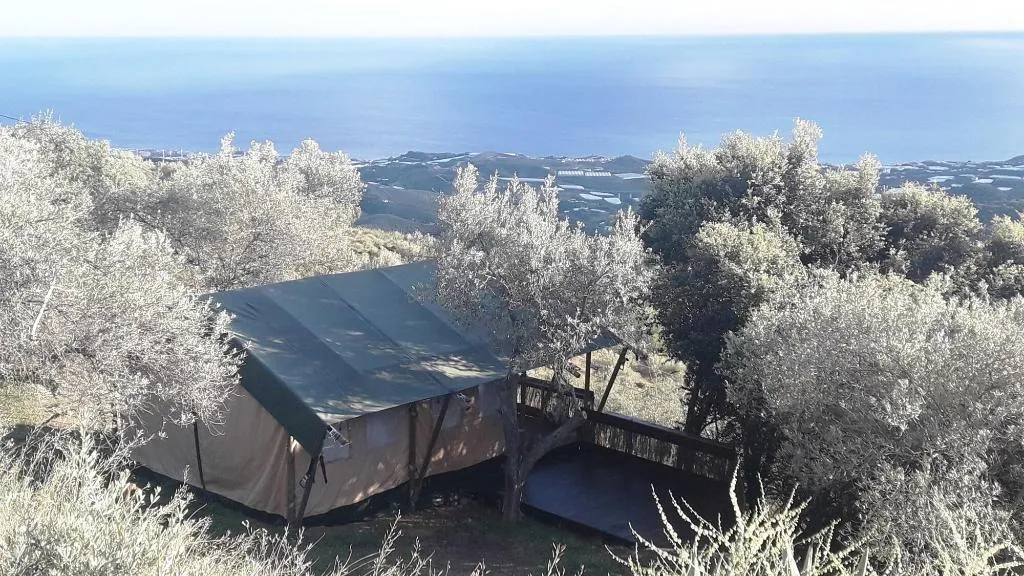 Room, Campo Agave - Boutique B&B en Glamping, Costa Del Sol