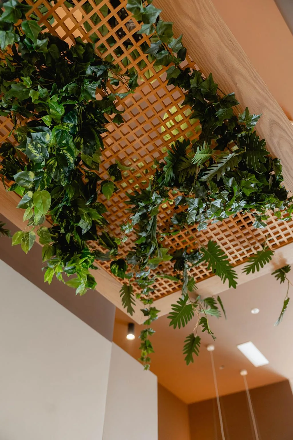 Lobby, Niu Line, Costa Blanca