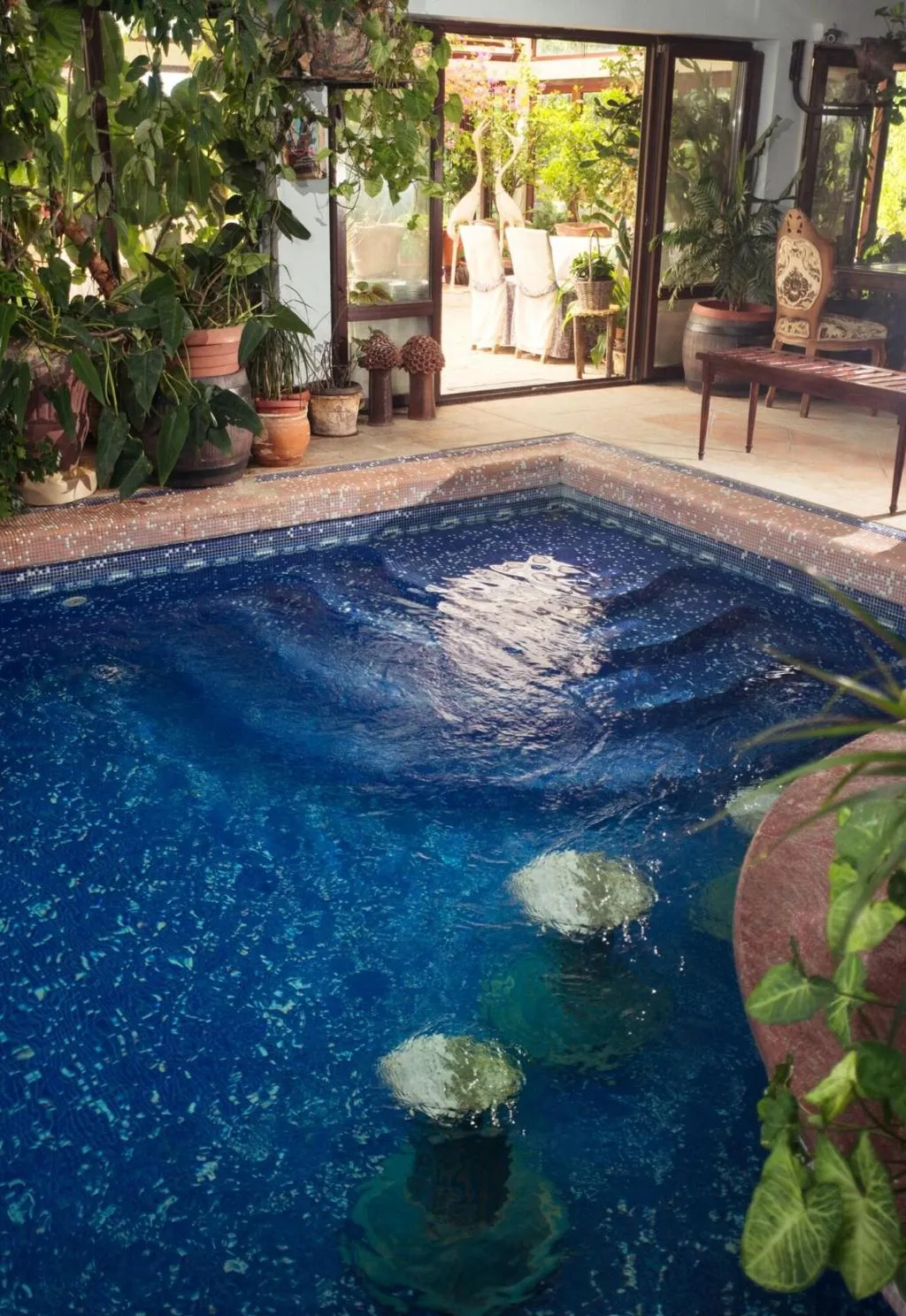 Pool, Dallas Residence, Varna