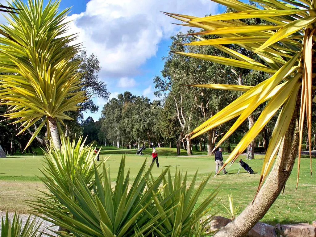 Sports and Entertainment, Le Diwan Hotel Rabat - MGallery Collection, Rabat