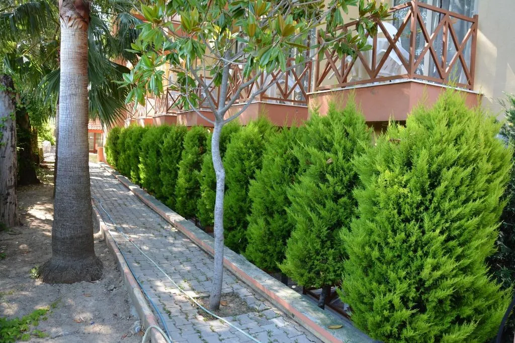 General view, Yavuzhan Hotel, Antalya