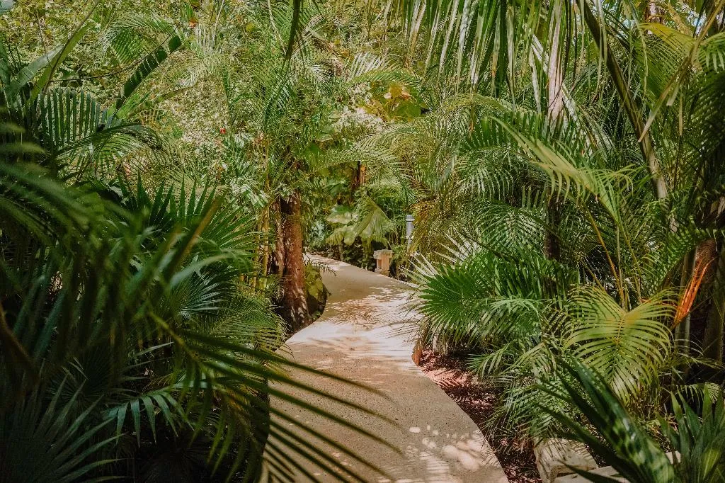 General view, Aldea Coba an Escape Experience, Cancun Area