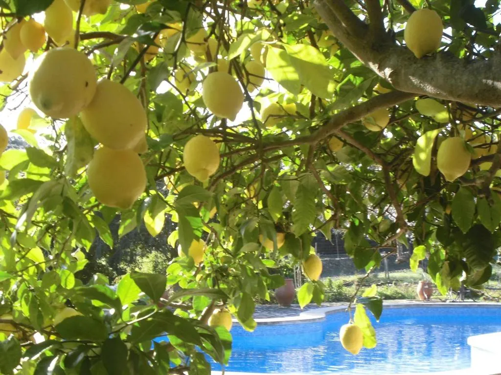 Sports and Entertainment, Agroturismo Na Set Centes, Majorca