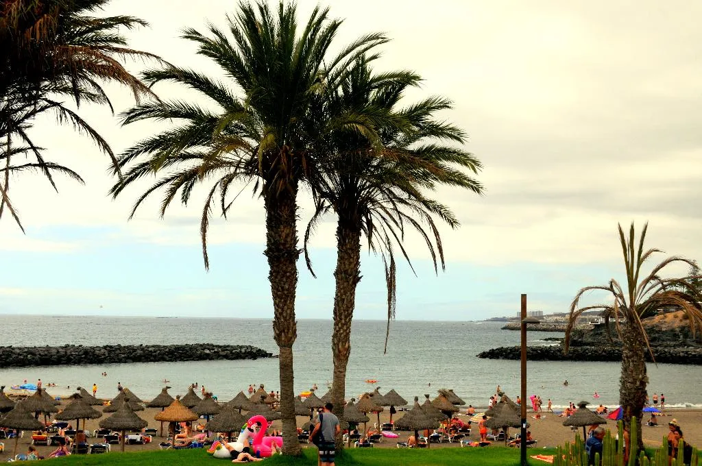 Beach, Villa Las Flores, Tenerife