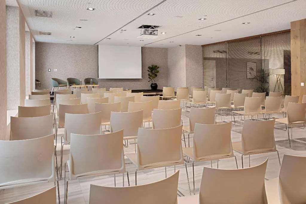 Conferences, Melia Madrid Serrano, Madrid