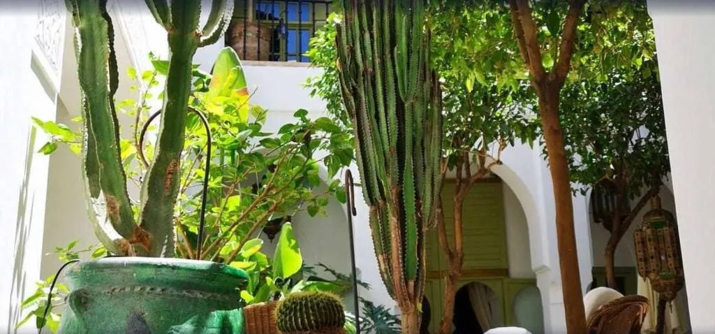 Lobby, Riad Camilia, Marrakech