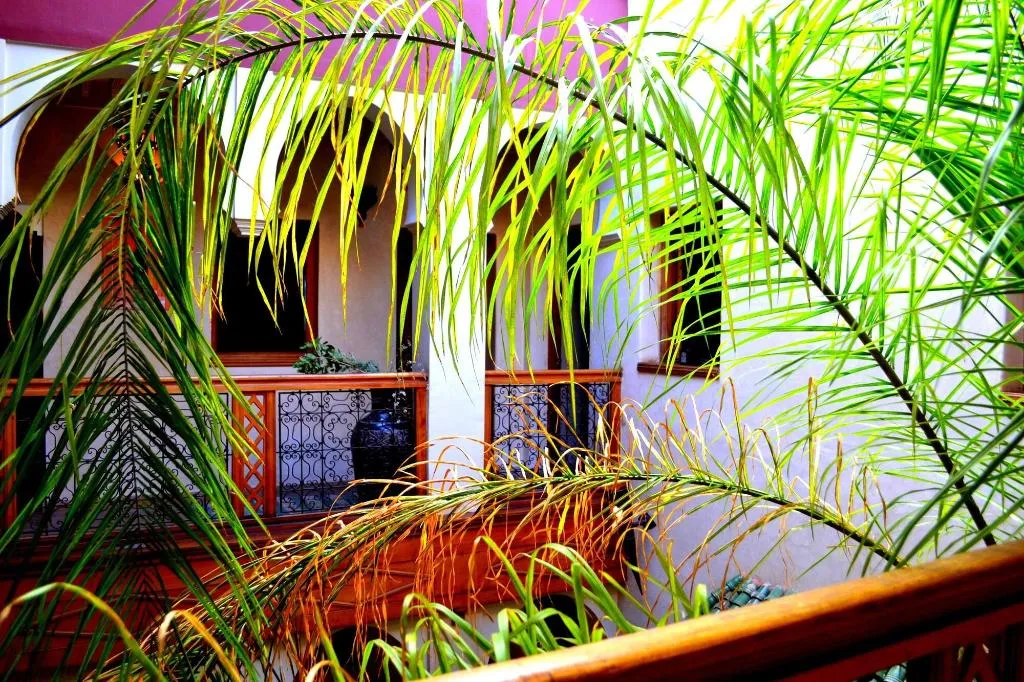 Lobby, Riad Amya, Marrakech