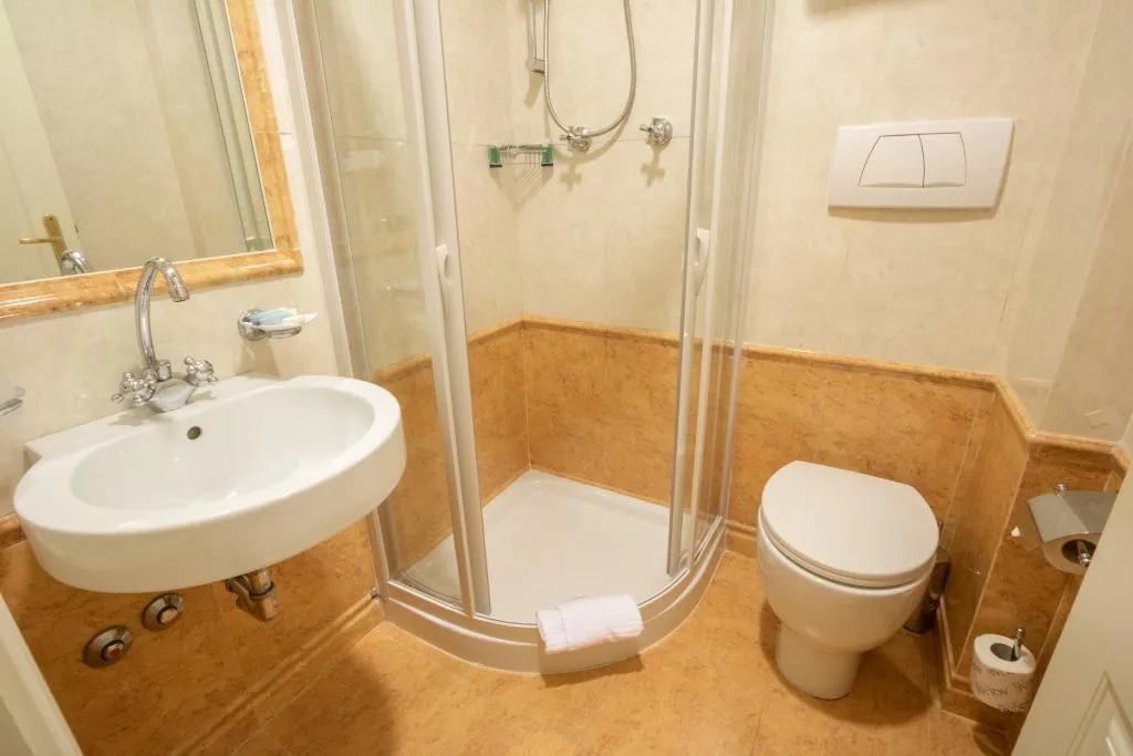 DOUBLE SINGLE USE STANDARD Room, Hosianum Palace, Rome